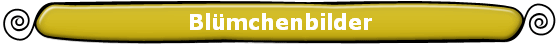 Bl�mchenbilder