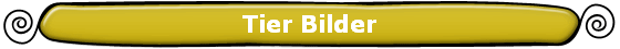Tier Bilder